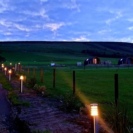 Lilly's Lodges Orkney Hedgehog Lodge Finstown Eksteriør billede
