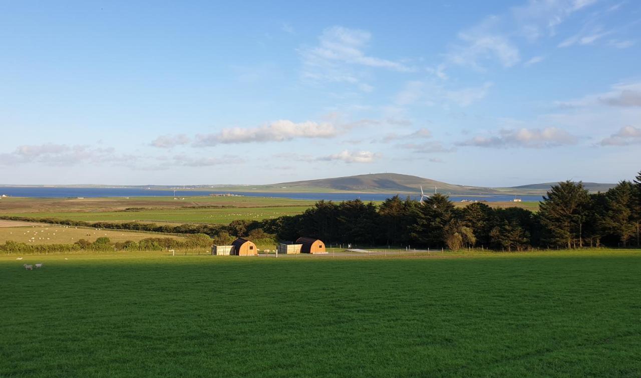Lilly's Lodges Orkney Hedgehog Lodge Finstown Eksteriør billede