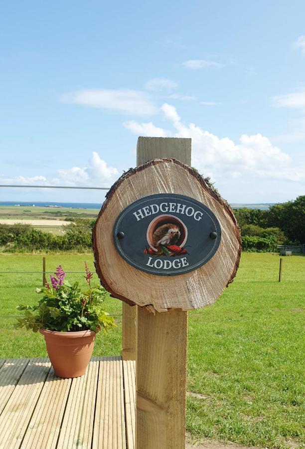 Lilly's Lodges Orkney Hedgehog Lodge Finstown Eksteriør billede