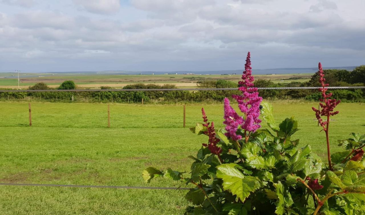 Lilly's Lodges Orkney Hedgehog Lodge Finstown Eksteriør billede