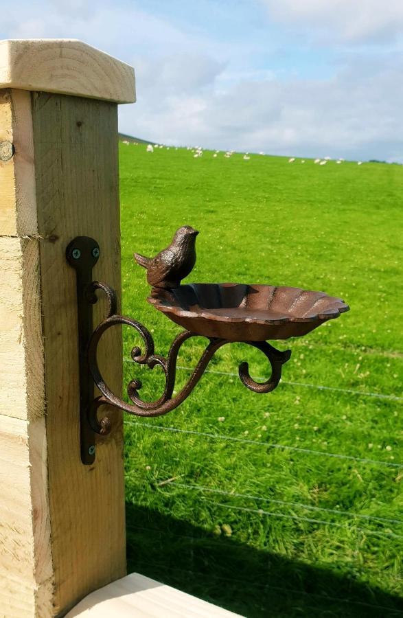 Lilly's Lodges Orkney Hedgehog Lodge Finstown Eksteriør billede